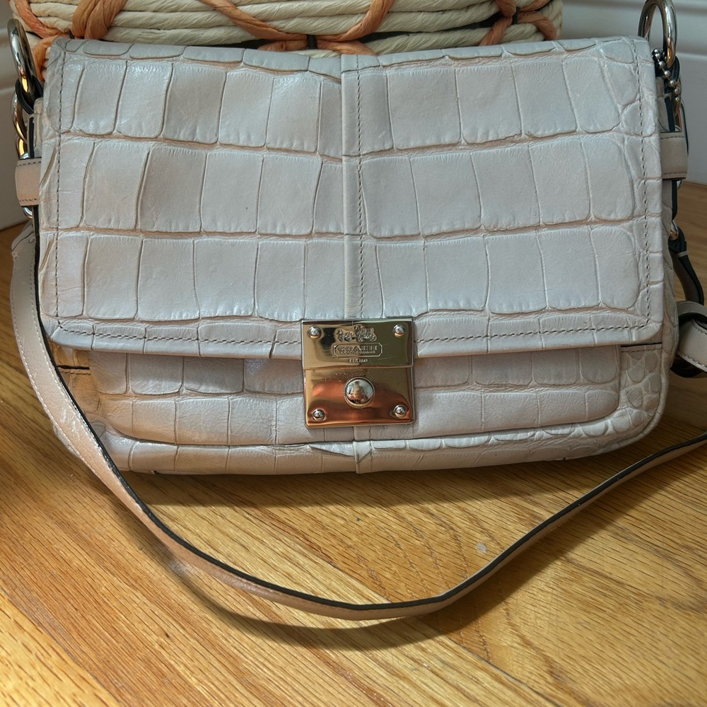 Coach Chelsea Crocodile Embossed Leather Crossbody Bag
📌 Style No: D1171-17827